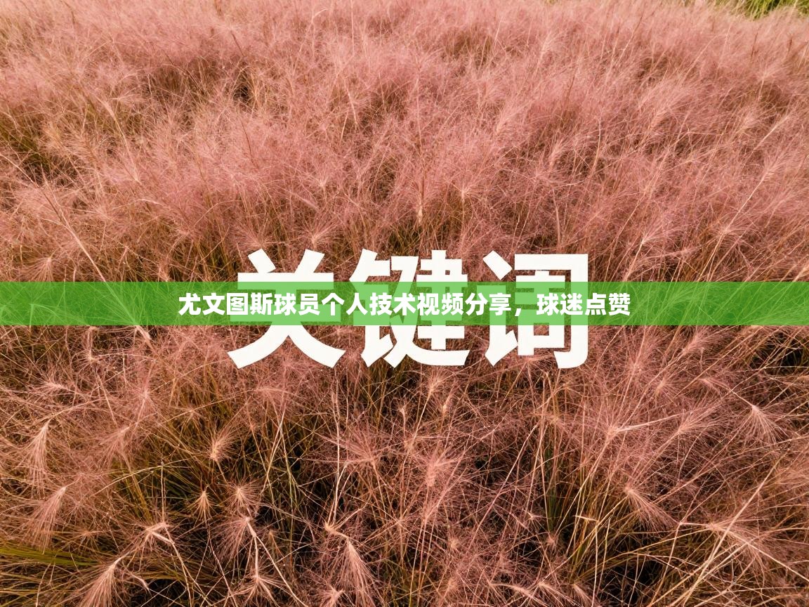 尤文图斯球员个人技术视频分享，球迷点赞  第2张